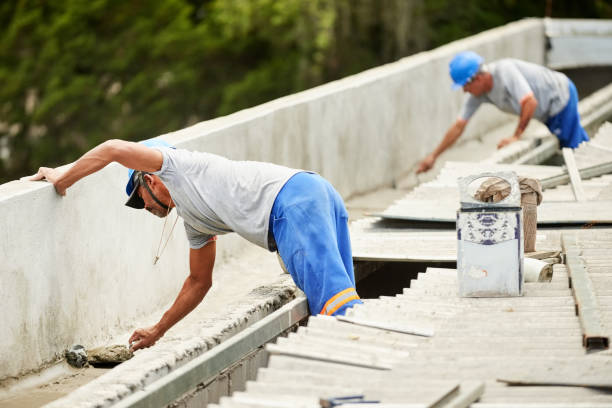 Best Cellulose Insulation  in Llano Grande, TX