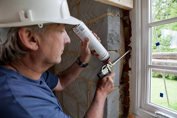 Best Insulation Contractors for Homes  in Llano Grande, TX