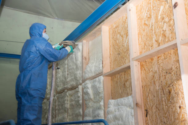 Best Commercial Insulation Contractor  in Llano Grande, TX