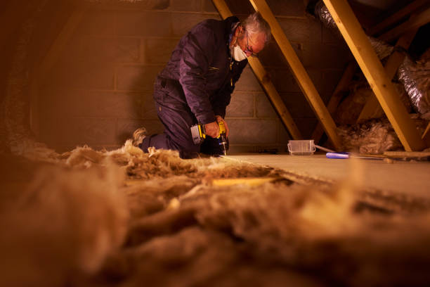 Best Best Insulation Companies  in Llano Grande, TX